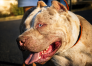 C62201A7-25D5-4EAD-9E31-61F45804374E.png