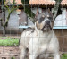 IMG_5898.jpeg